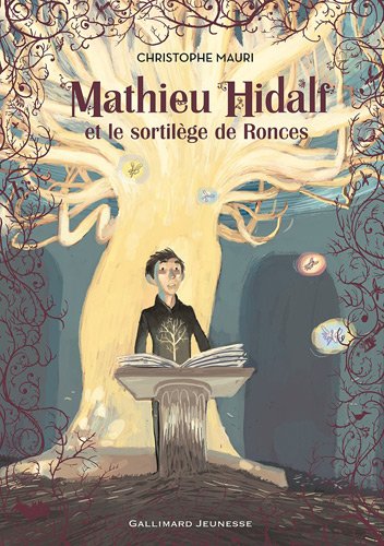 couverture de : Mathieu Hidalf et le sortil&egrave;ge de ronces